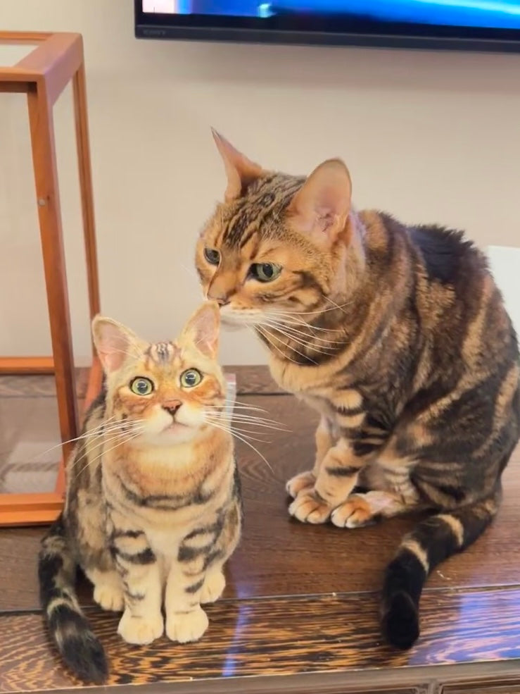 Custom 3D Pet Wool Felt Portraits | Handmade Pet Memorial Gifts