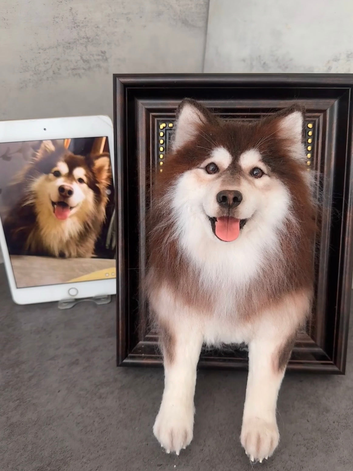 Framed Pet Portrait | Pet Head With Paws