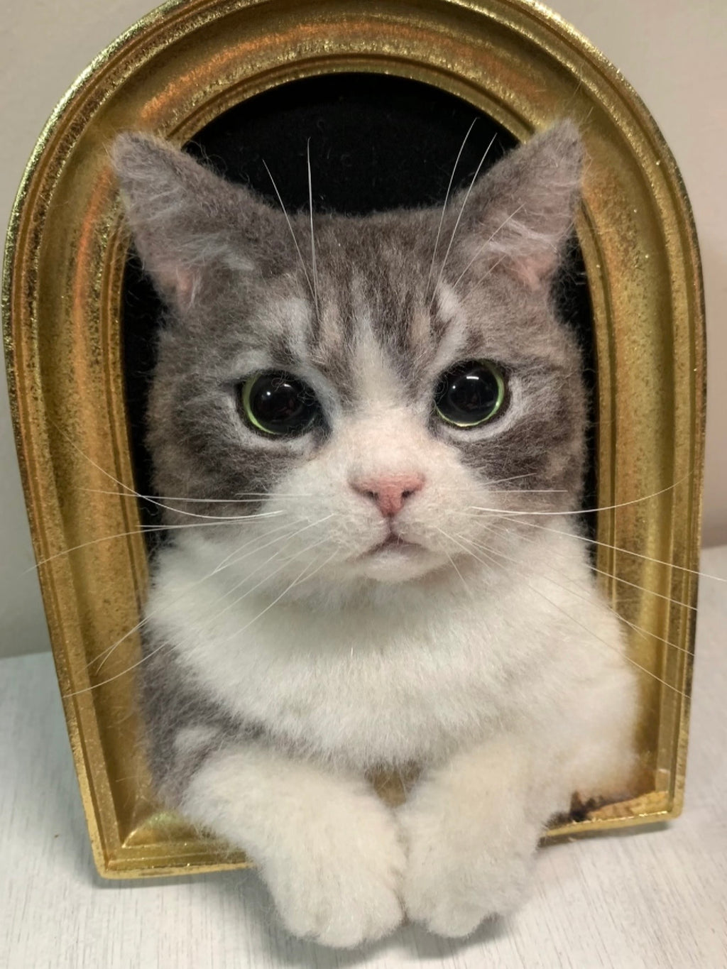 Framed Pet Portrait | Pet Head With Paws