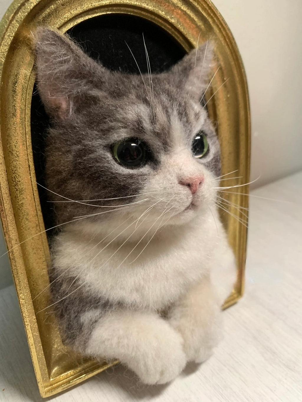 Framed Pet Portrait | Pet Head With Paws