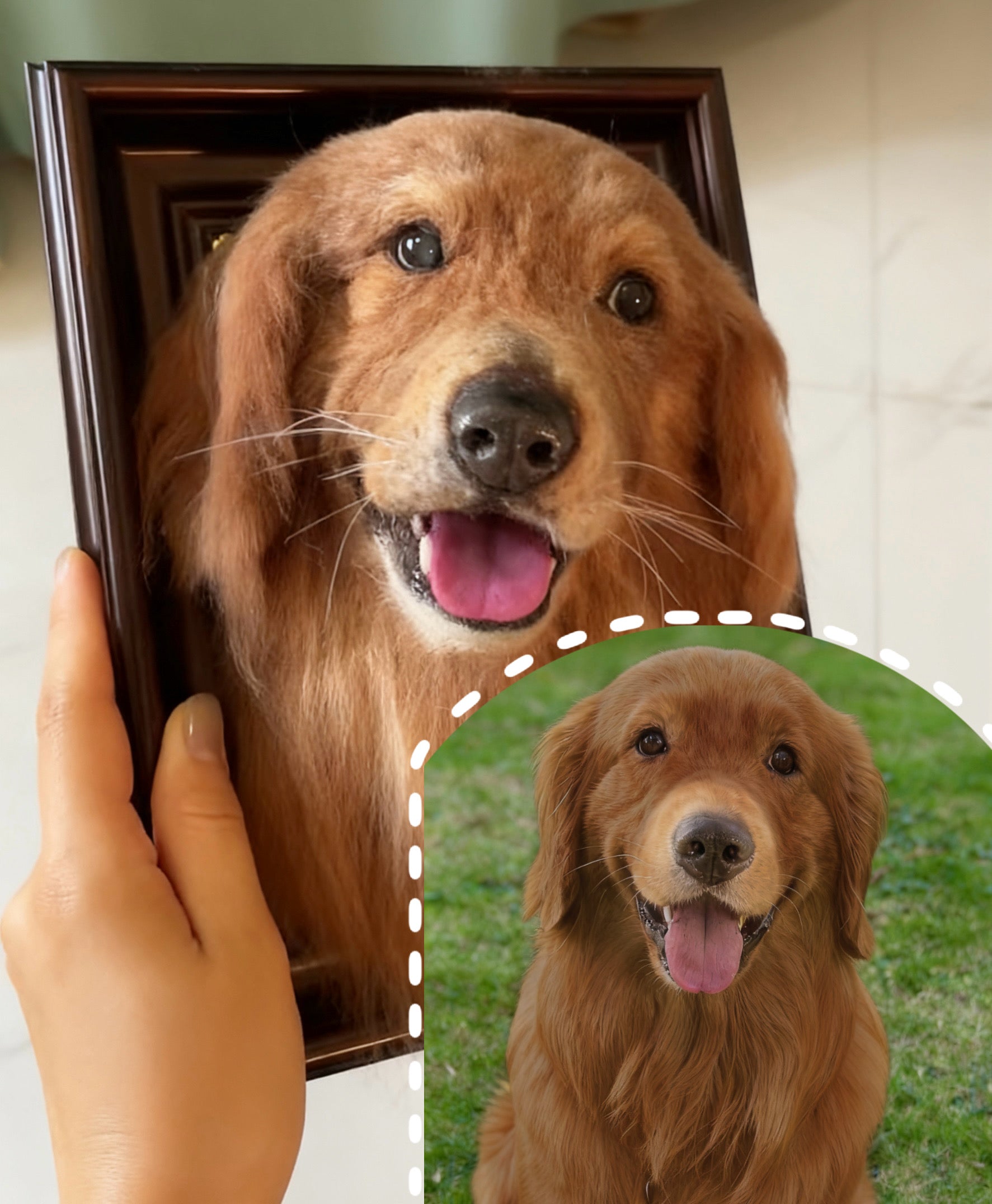 Framed Pet Portrait  | Pet Head Only (No Paws)