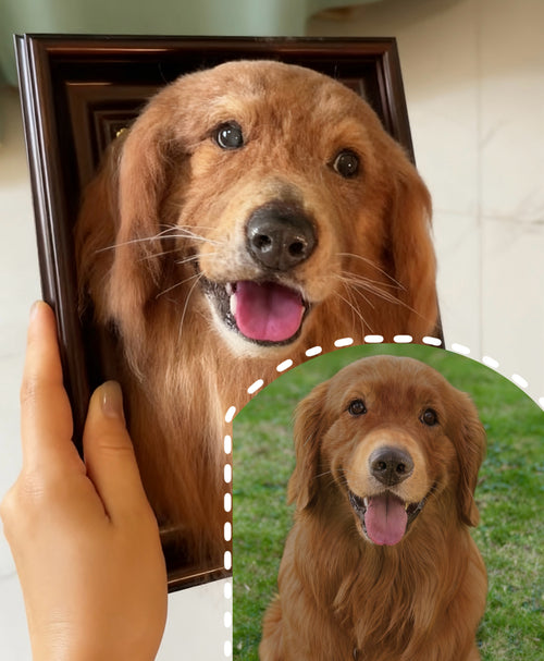 Framed Pet Portrait  | Pet Head Only (No Paws)